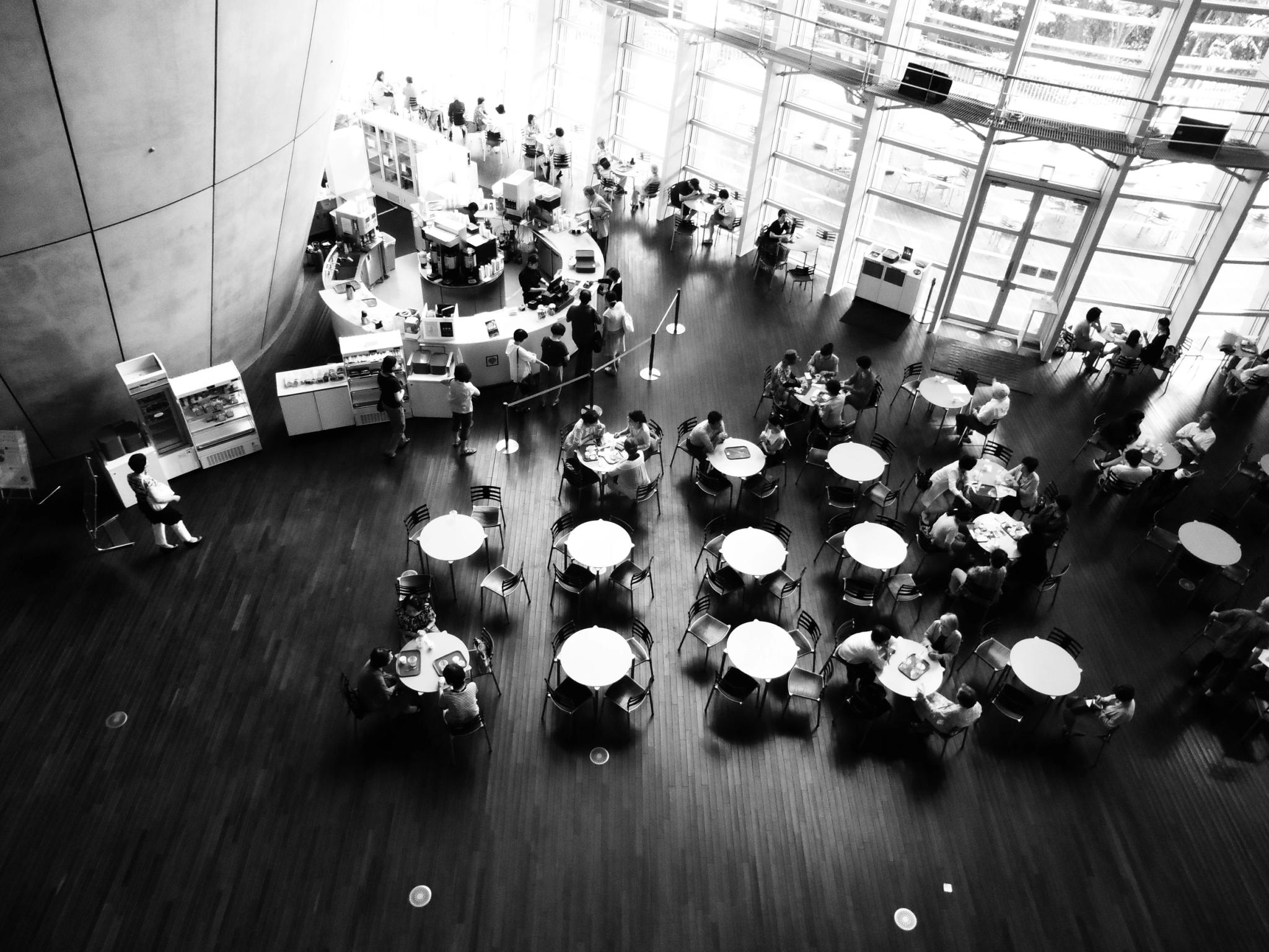 Organisation de tables rondes pour entreprises en Corse